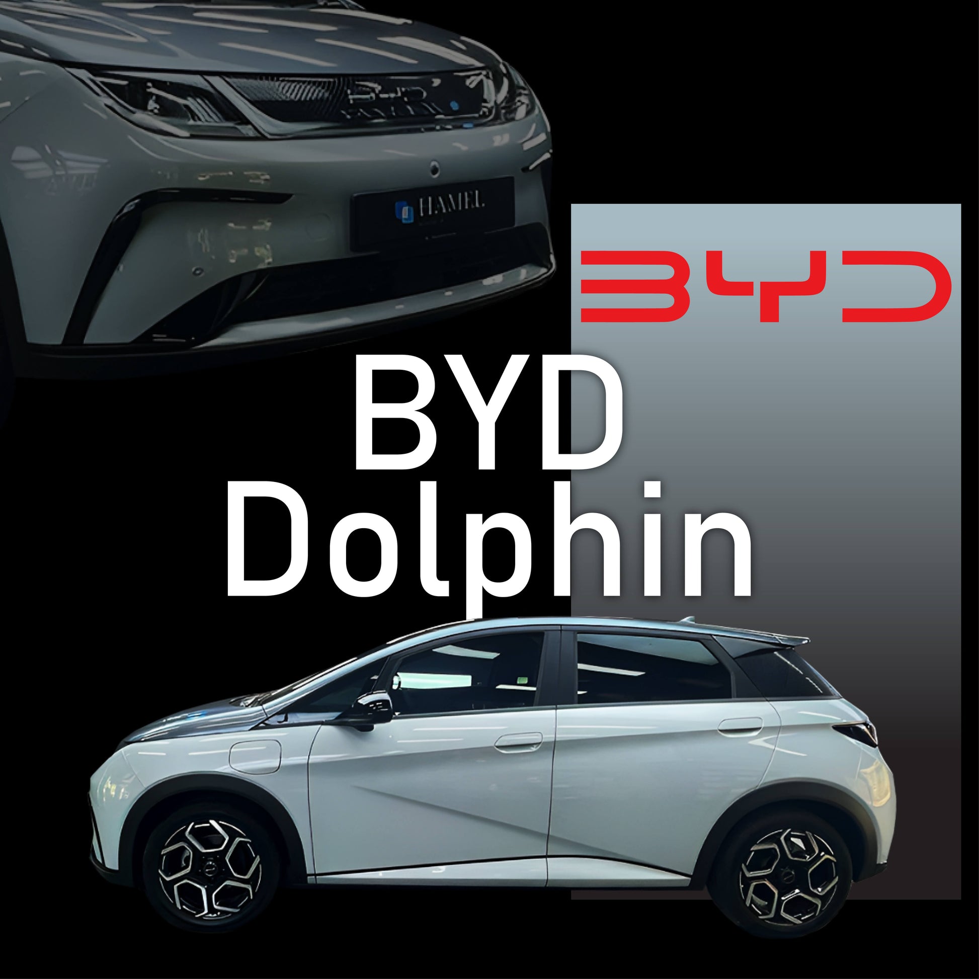 BYD Dolphin