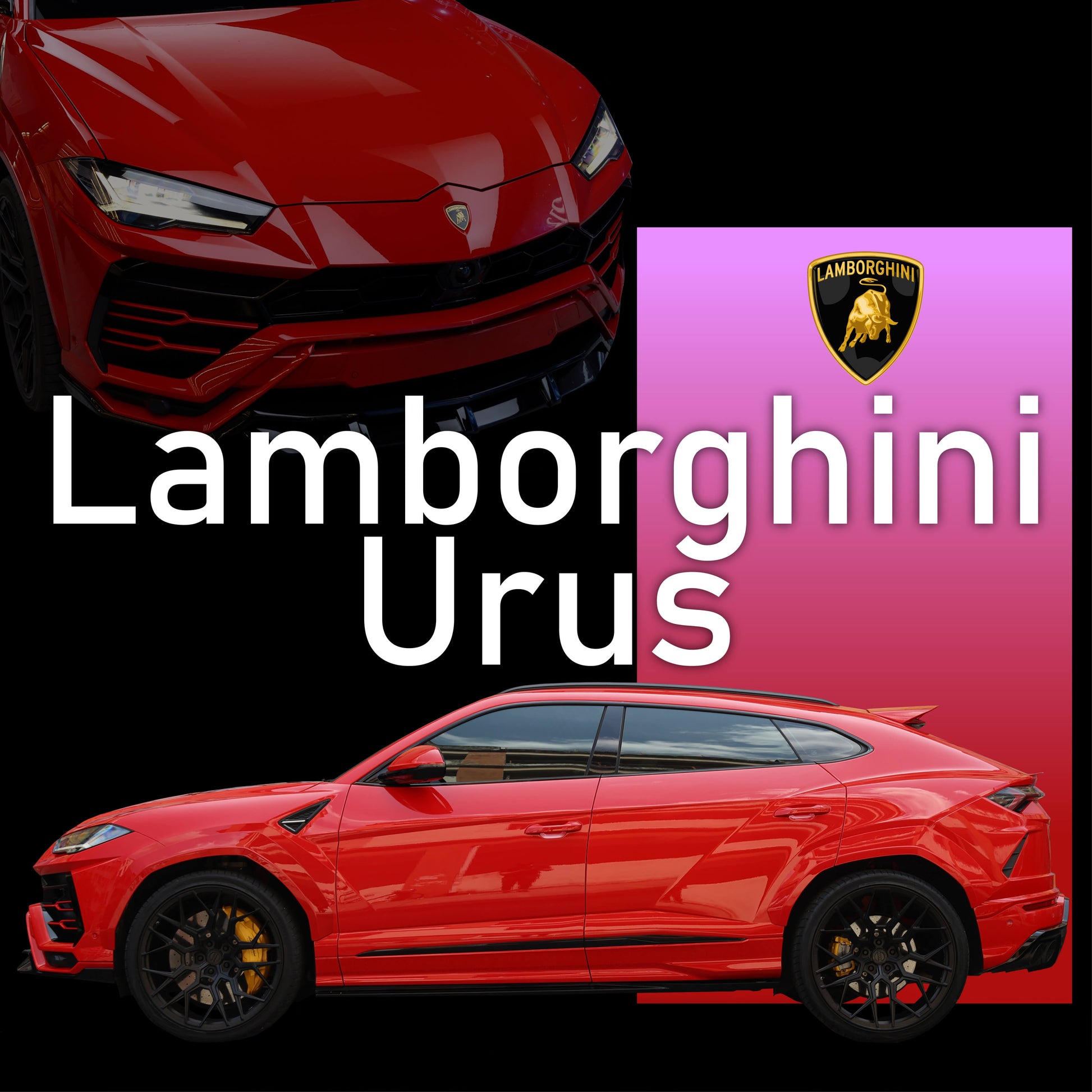 Lamborghini Urus - TPU Paint Protection Film (PPF)